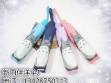 動漫龍貓傘 價格、圖片與購買指南