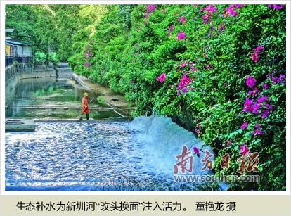 水污染治理助寶安生態(tài)環(huán)境舊貌換新顏